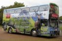 The Wild about Scotland bus in action
