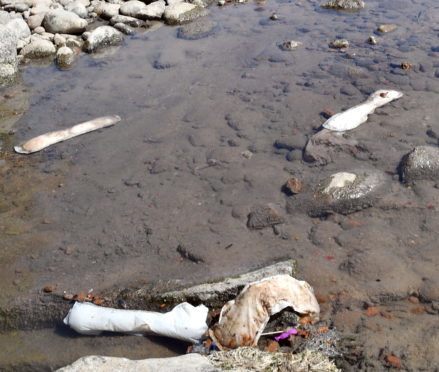 Rubbish on the banks of the river Dee at Banchory.