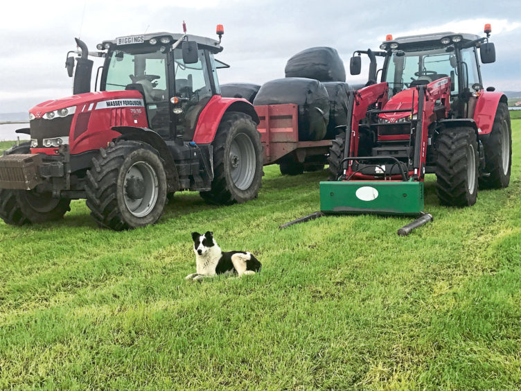Tommy Linklater sent in this picture of Patch the dog at Stonelea Farm, Stenness, Orkney, taking a rest after silage making.