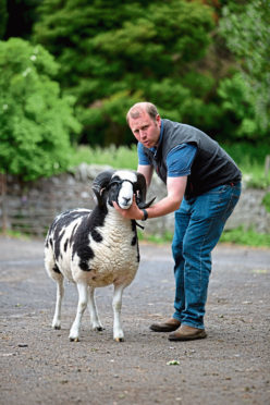 Mike Munro with a sheep from his Kinloch flock