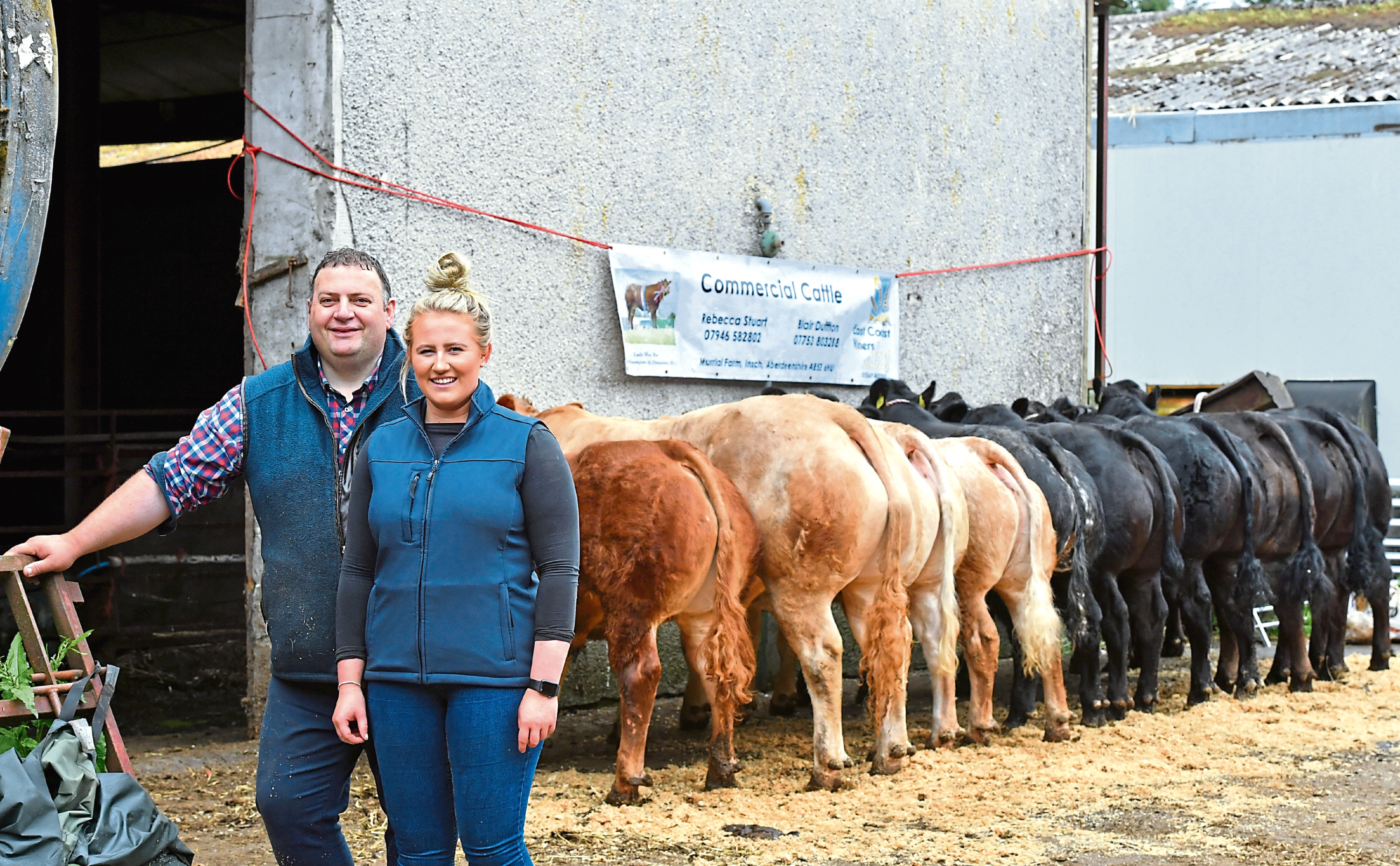 Blair and Rebecca with their team of 10 cattle which are going to the Highland.
