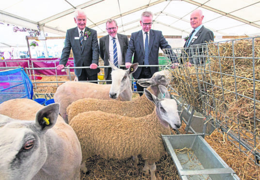 Scottish Secretary David Mundell, second left, and Environment Secretary Michael Gove, third left, at the Royal Highland Show yesterday
