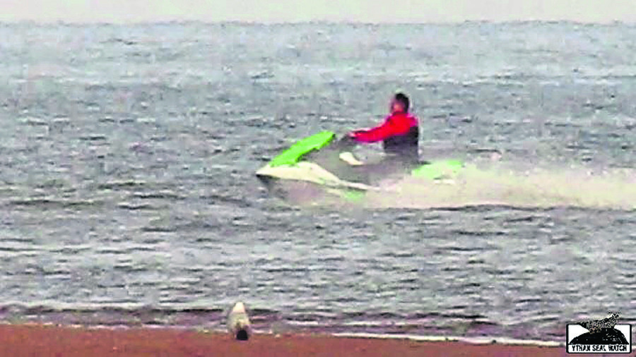 Pictures have emerged of two people jet skiing in the Ythan Estuary