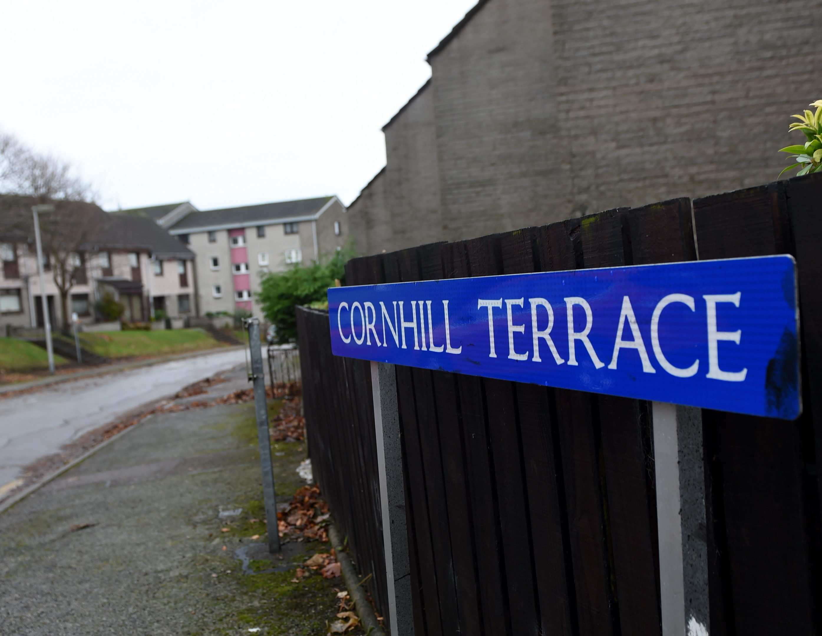 The offences are alleged to have taken place on Cornhill Terrace.