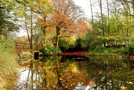 Autumn colours at Aden Country Park, Mintlaw. 
Picture by Kevin Emslie.