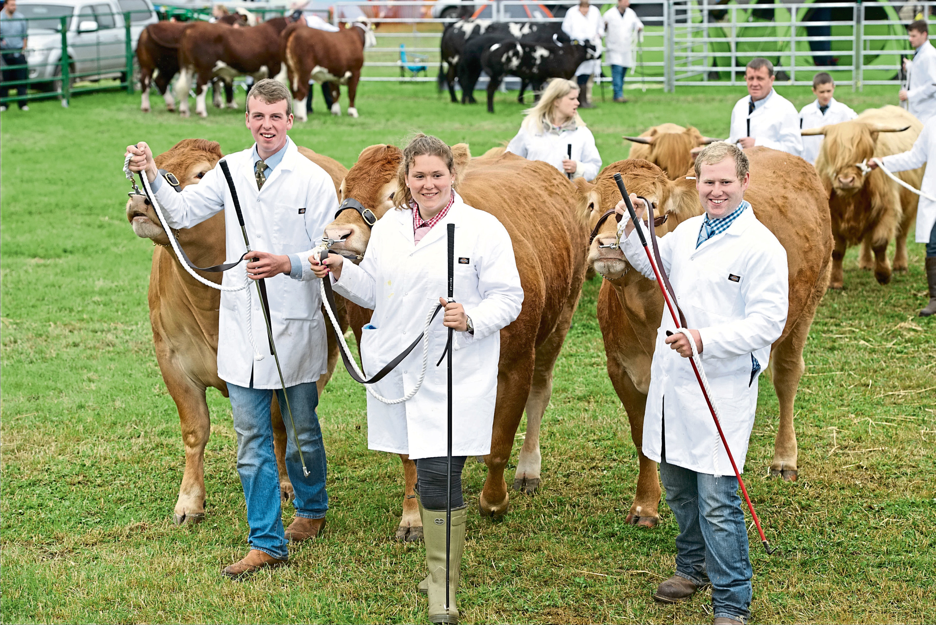 William Moir, Aileen Ritchie and Ross Junor with a team of Limousins at the 2016 show.