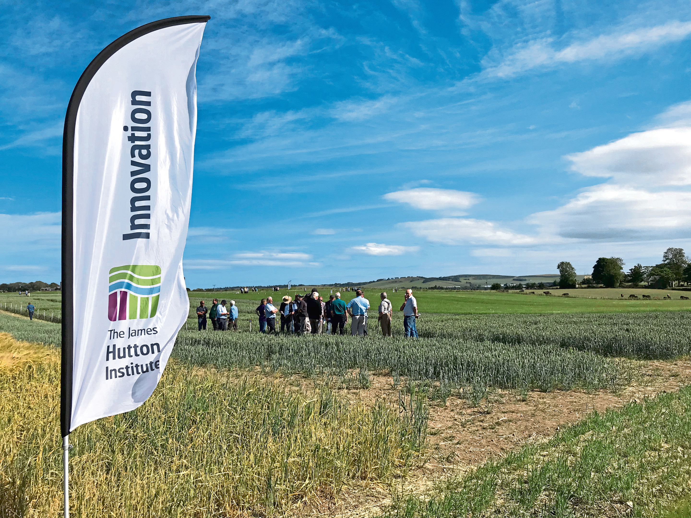 Visitors view exhibition plots at Cereals in Practice 2018.