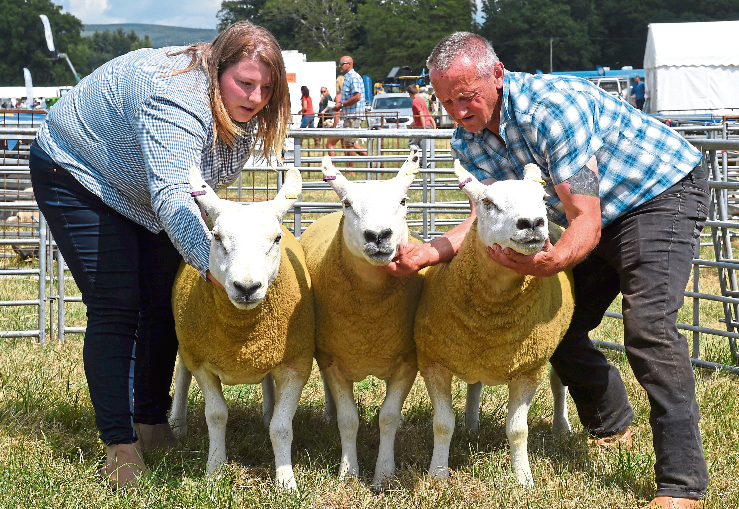 Sarah Finnie and Colin Scott, Balthangie, with the show champion of champions - three Texel cross gimmers.