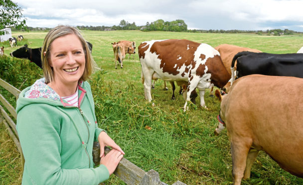 Jo with some of the cattle at Rootfield.