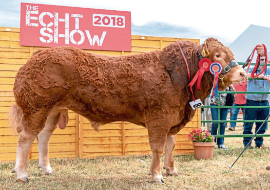 Anside Nigel was one of the prizewinners