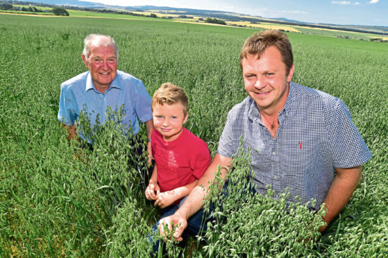 Three generations of the Webster family -  Willie, Frazer and Ian - in their award-winning field of Aspen spring oats.