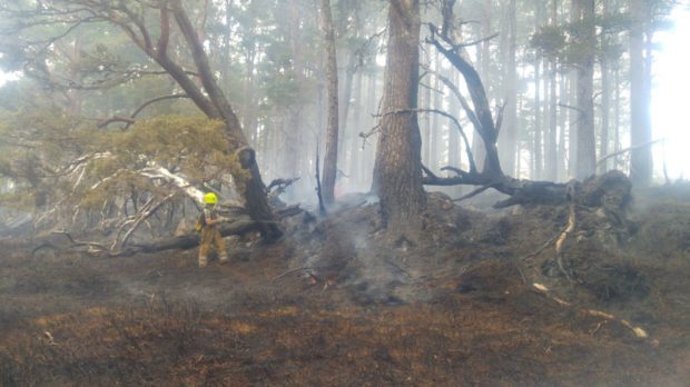 Scene of the wildfire in the Cairngorms. Pictures by Aviemore Fire Station.