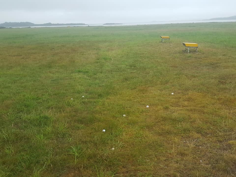 Golf balls at Oban Airport.