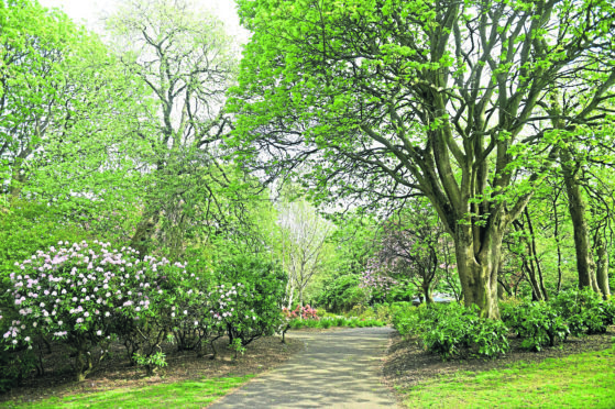 Victoria Park, Aberdeen.