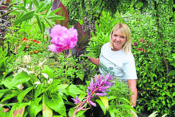 Cecilia Grigor, Planit Scotland director