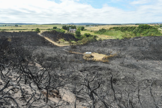 The burned landscape after a gorse fire in Buckpool, Moray next to Buckpool golf course. Picture by Jason Hedges