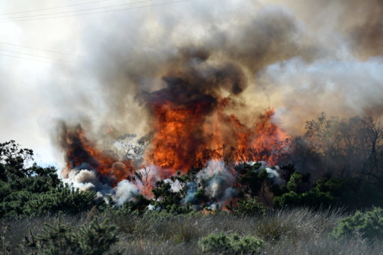 Scottish Fire and Rescue Service tackled a large blaze on a patch of land between Newhills, Bucksburn and Kingswells.