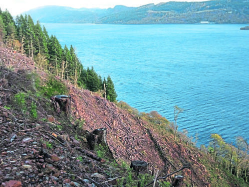 5,300 tonnes of timber has been felled and extracted as part of the on-going and challenging steep ground programme works under the A82 project. The latest felling was completed at Primrose Bay (Loch Ness), in June where the operations team has been working for over 18 months.
Forestry Commission Scotland