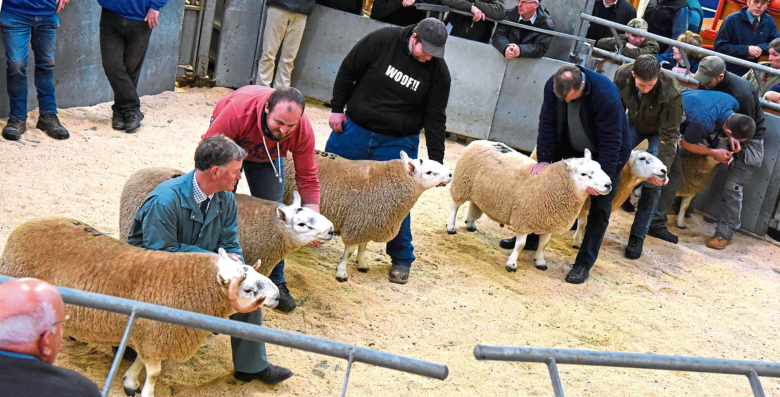 The meetings are taking place ahead of the autumn ram sales.
