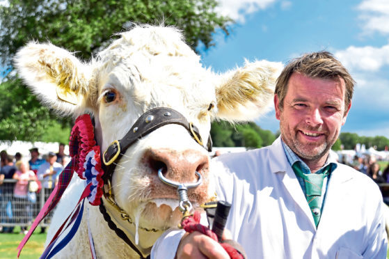 Raymond Irvine with his Charolais cow which stood show champion of champions.