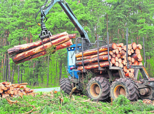 The harvester working in a forest.