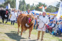 A large crowd came along to see the livestock at the Grantown Show