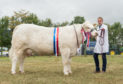 Sandy Hunter with the supreme cattle champion from Garry Patterson and Blair Duffton.