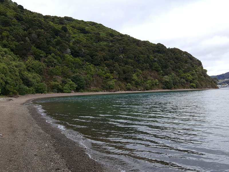 New Zealand - Picton Bob's Bay