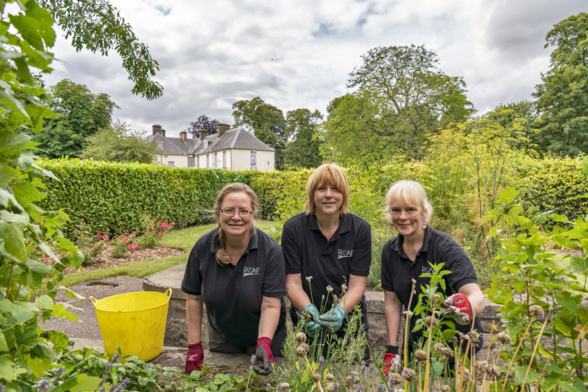 Beth Dunlop, Dorothy Allan and Ann Davidson sow seeds in Elgin's Cooper Park.