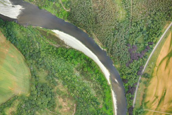 Patches of white giant hogweed and lime green Japanese knotweed have been revealed by using photographs from drones.