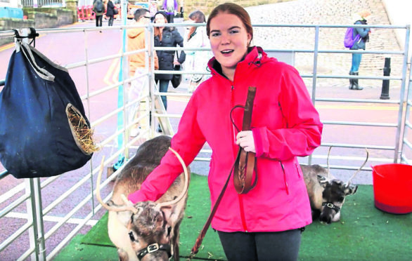 Reindeer, which have previously been a part of Aberdeen University's freshers week, could be banned.