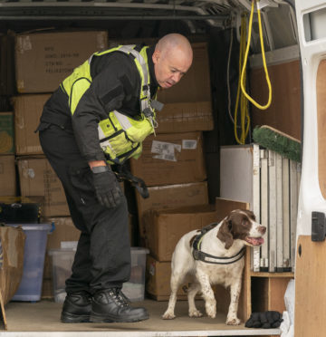 Spaniel Dixie was enlisted to check for illegal tobacco sales at the auction centre in New Elgin.