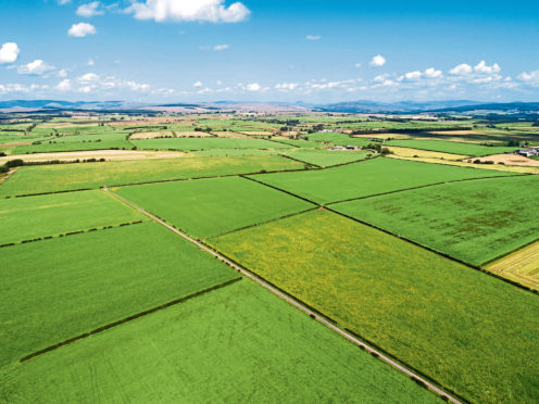 Land being offered for sale at Evertown in Dumfries and Galloway by Buccleuch.