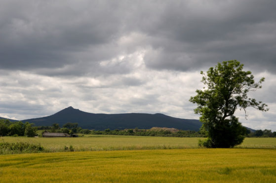 Bennachie