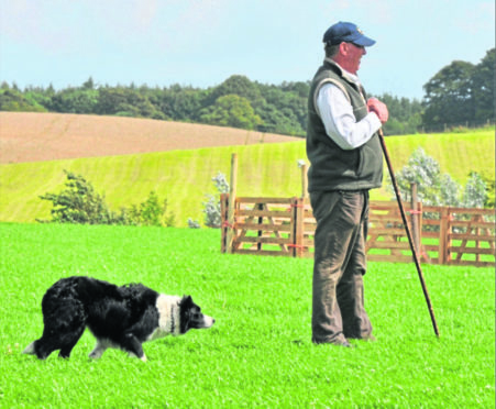 Brian Strachan with Bonnie his favourtie and best border collie.