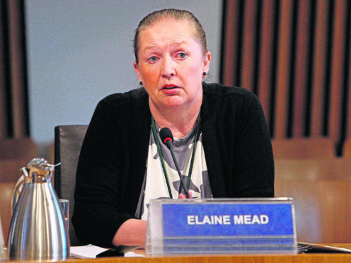 Elaine Mead, Chief Executive, NHS Highland.