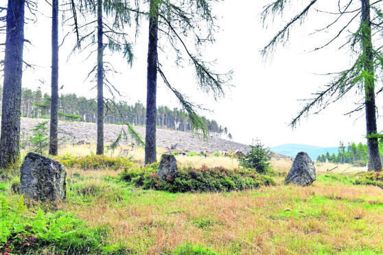 Mulloch Stone Circle at Banchory, where it has been reported that there has been fly tipping.