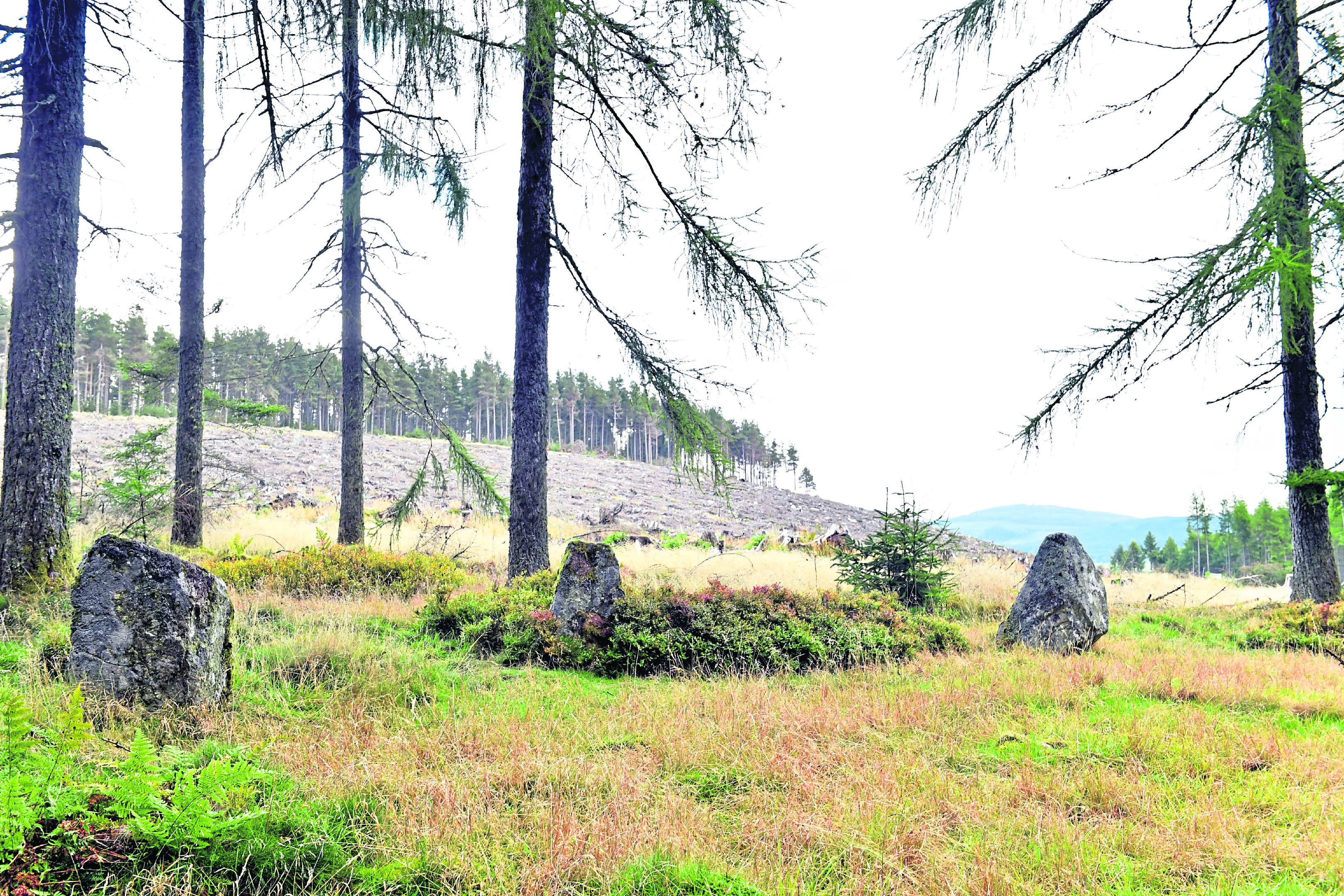 Mulloch Stone Circle at Banchory, where it has been reported that there has been fly tipping.