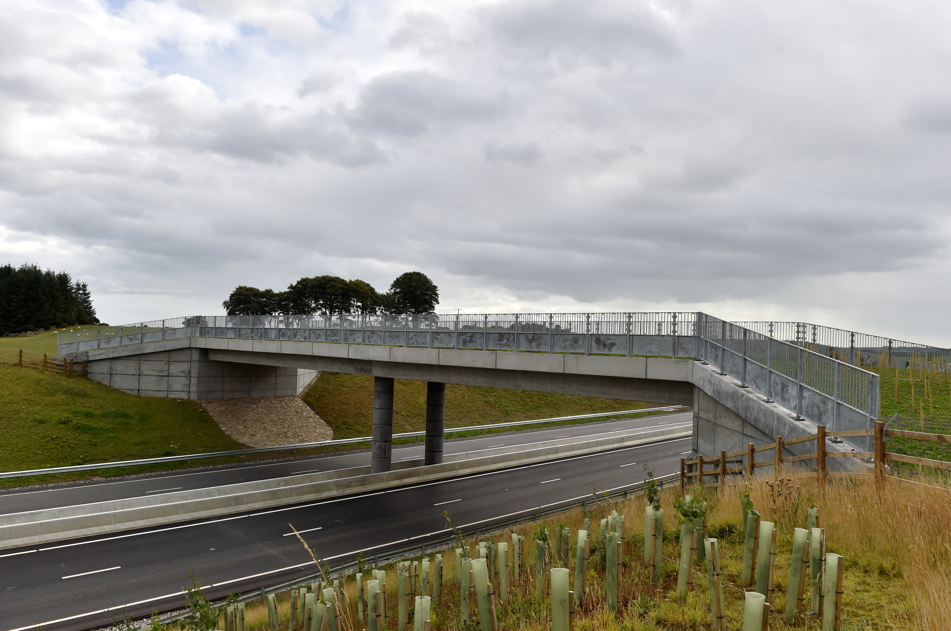 Pictured is a section of the AWPR with a wildlife bridge.


Picture by Scott Baxter  13/09/2018