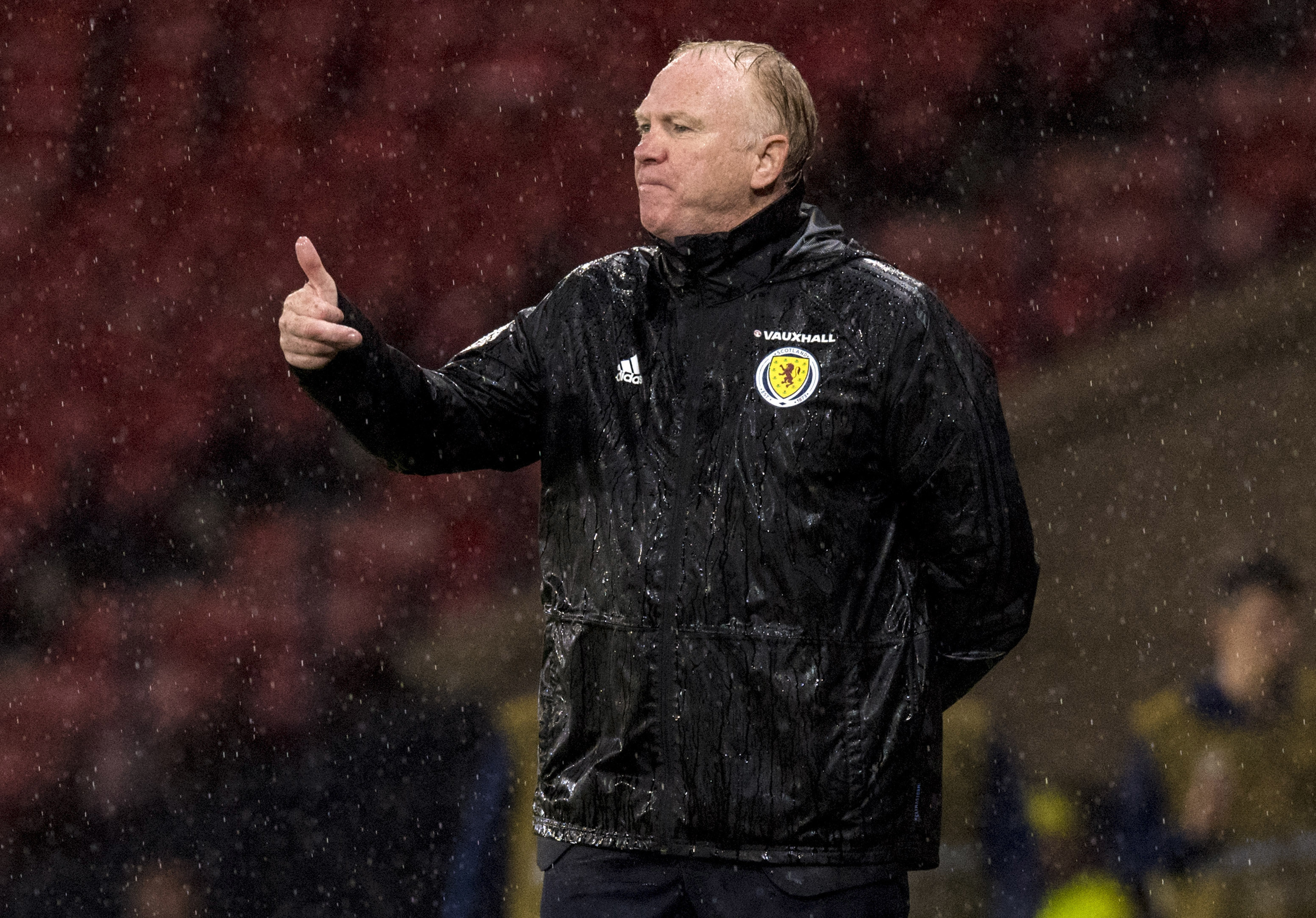 Alex McLeish during last night's 2-0 win over Albania.
