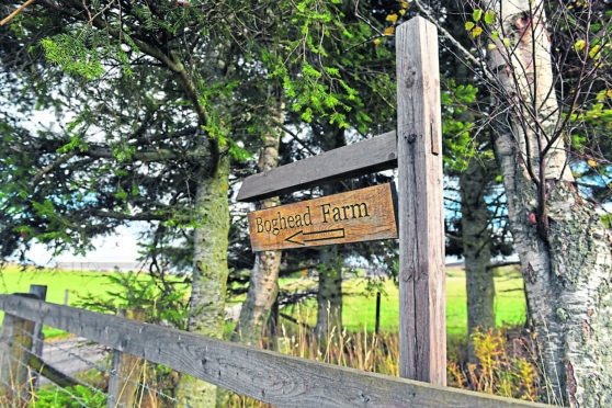 Boghead Farm, Lumsden.     
Picture by Kami Thomson