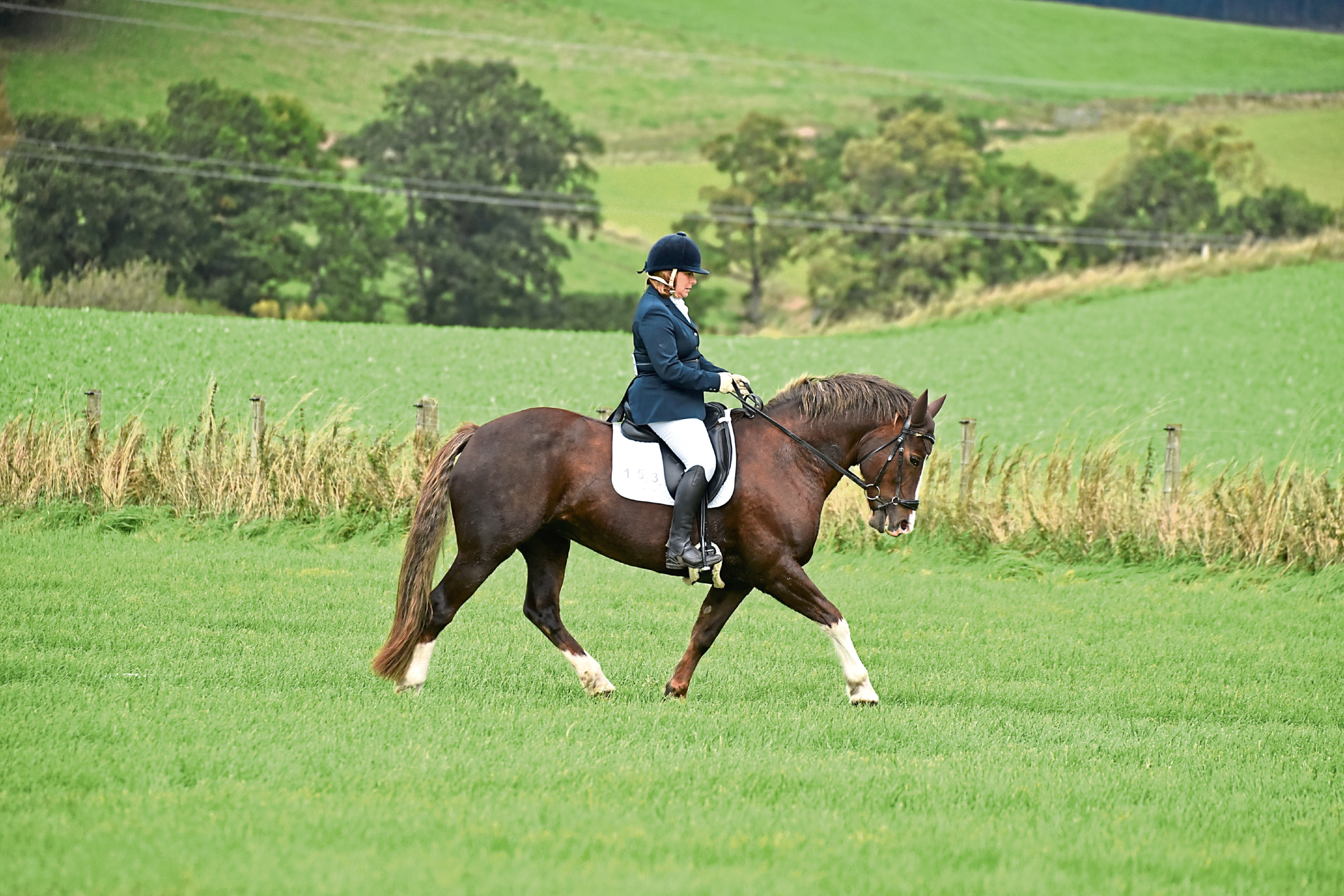 Julie Robertson, winner of the Riding Test event. Picture by Stephen Hammond Photograpy.
