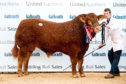 The Limousin champion sold for 11,000gn.
