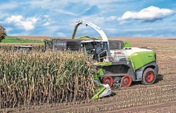 Claas Jaguar 960 Terra Trac is the first series production forage harvester available on tracks instead of wheels. Picture for Peter Hill machinery story.