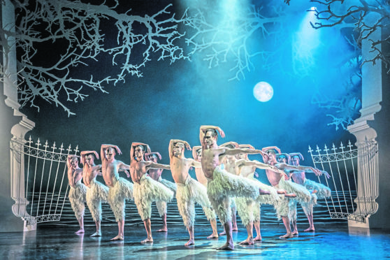 Matthew Bourne's production of Swan Lake in Aberdeen.