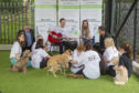 Music for dogs: Scottish SPCA release doggy inspired music album