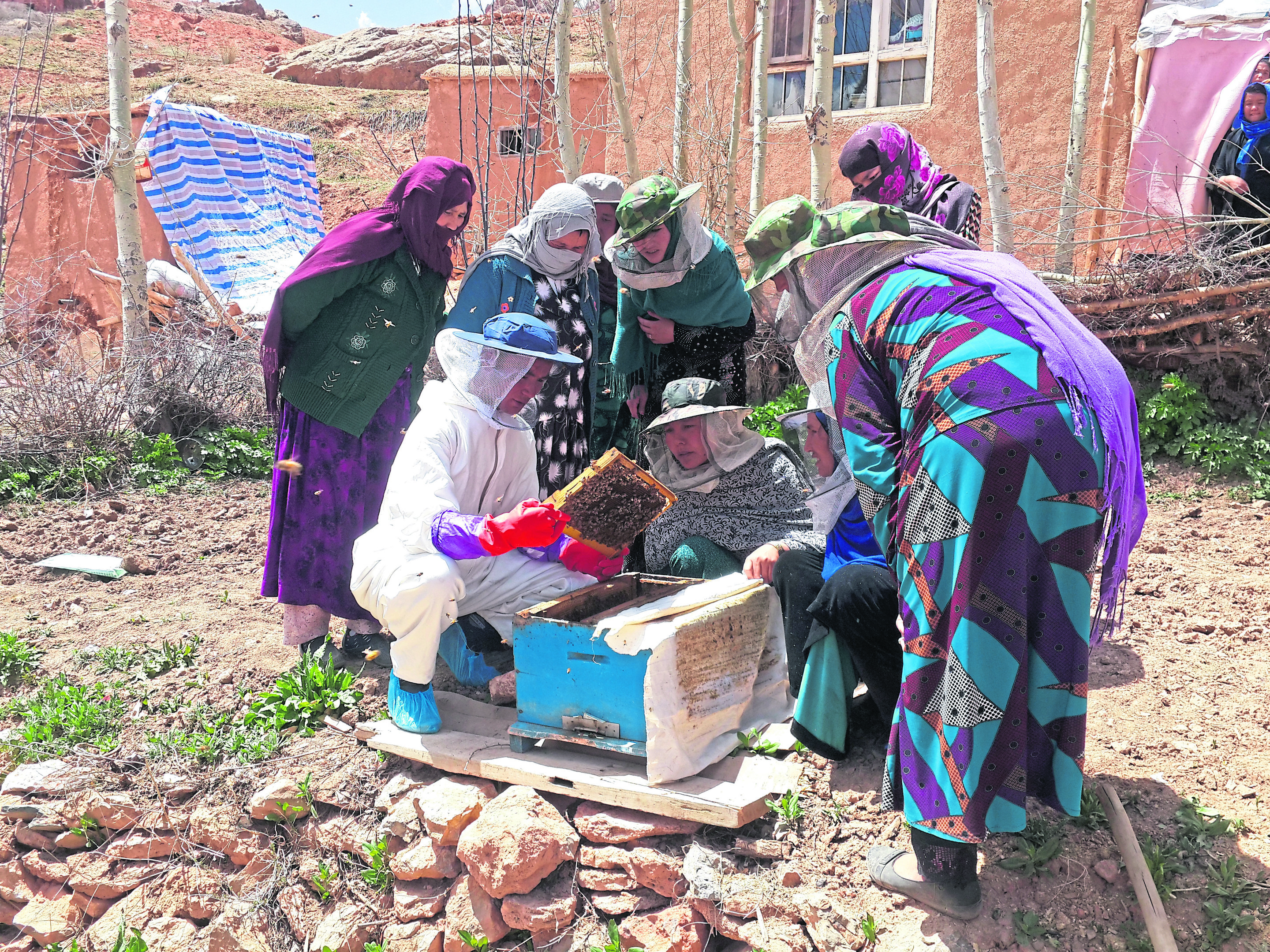 Women being trained in a beekeeping project in Afghanistan, an initiative supported by the Linda Norgrove Foundation to help women there make a living.