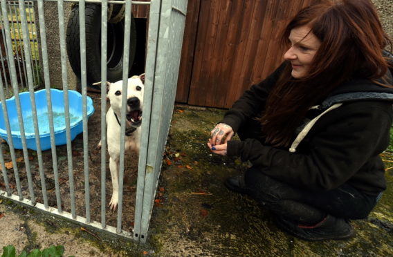 Karen Fairclough, founder of Until Every Dog has a Home