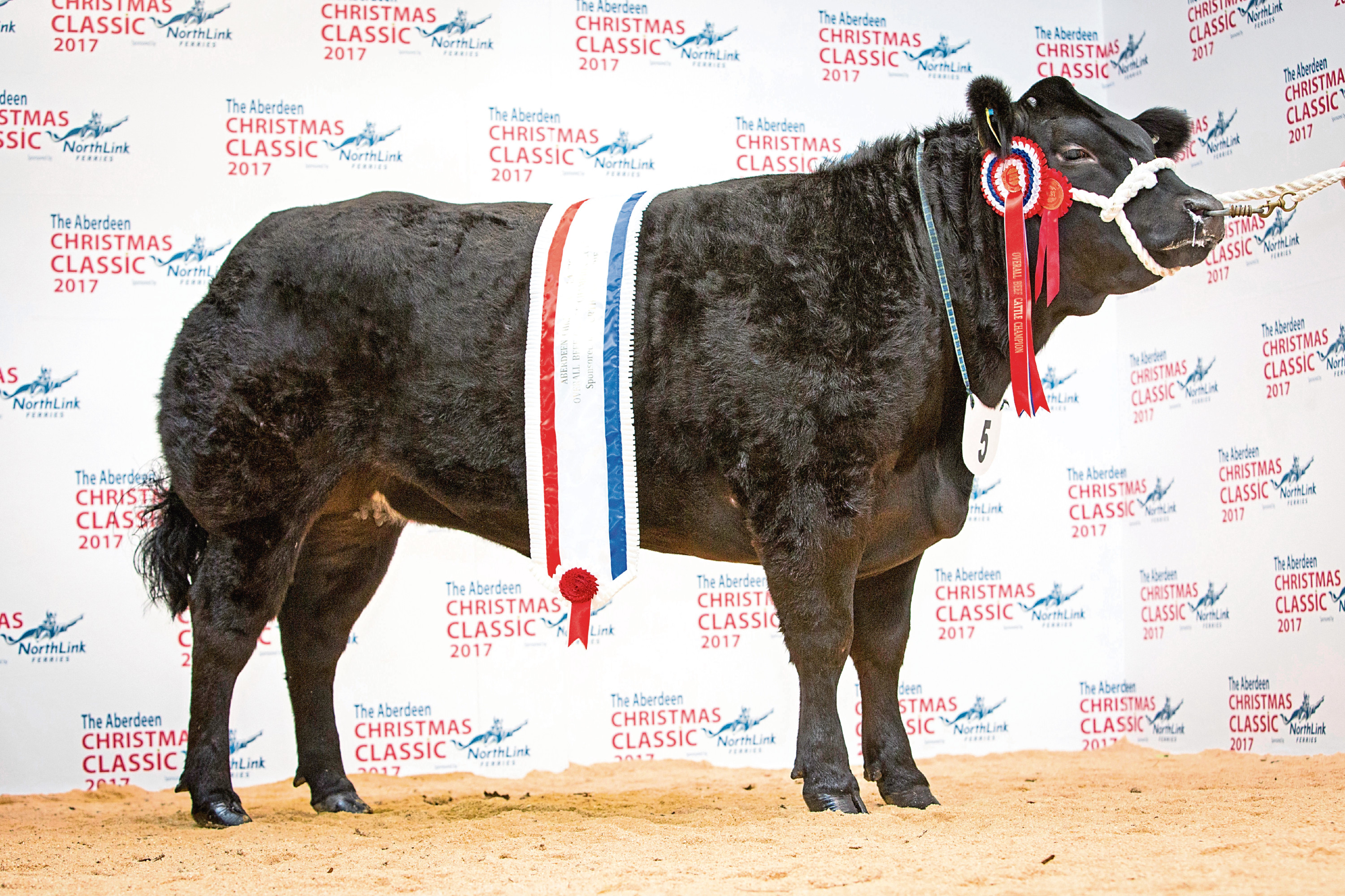 Last year's prime cattle champion - a Limousin cross heifer from Harry Brown, Auchmaliddie Mains, Maud, which sold for £4,600.