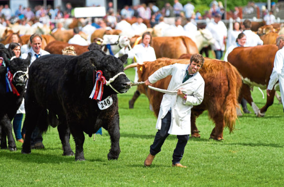 25/6/2016. Sunday Post. Andrew Cawley.
GV pics of the Royal Highland Show, at Ingliston, Edinburgh, including pics of the public toilets there, where traces of cocaine where found inside.  Location: Edinburgh.